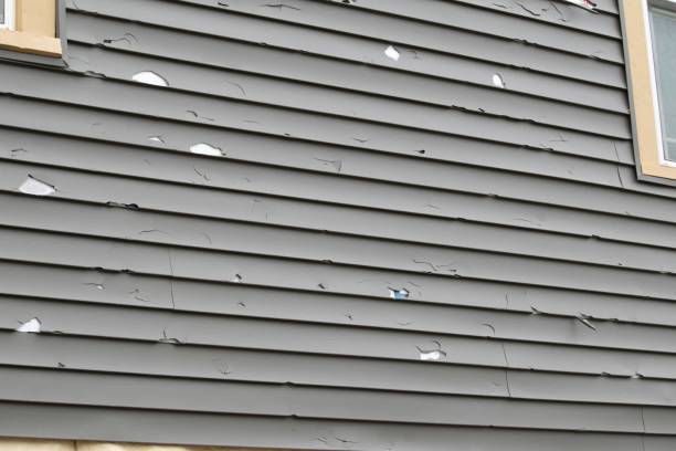 Best Same-Day Junk Removal Services  in Audubon Park, KY
